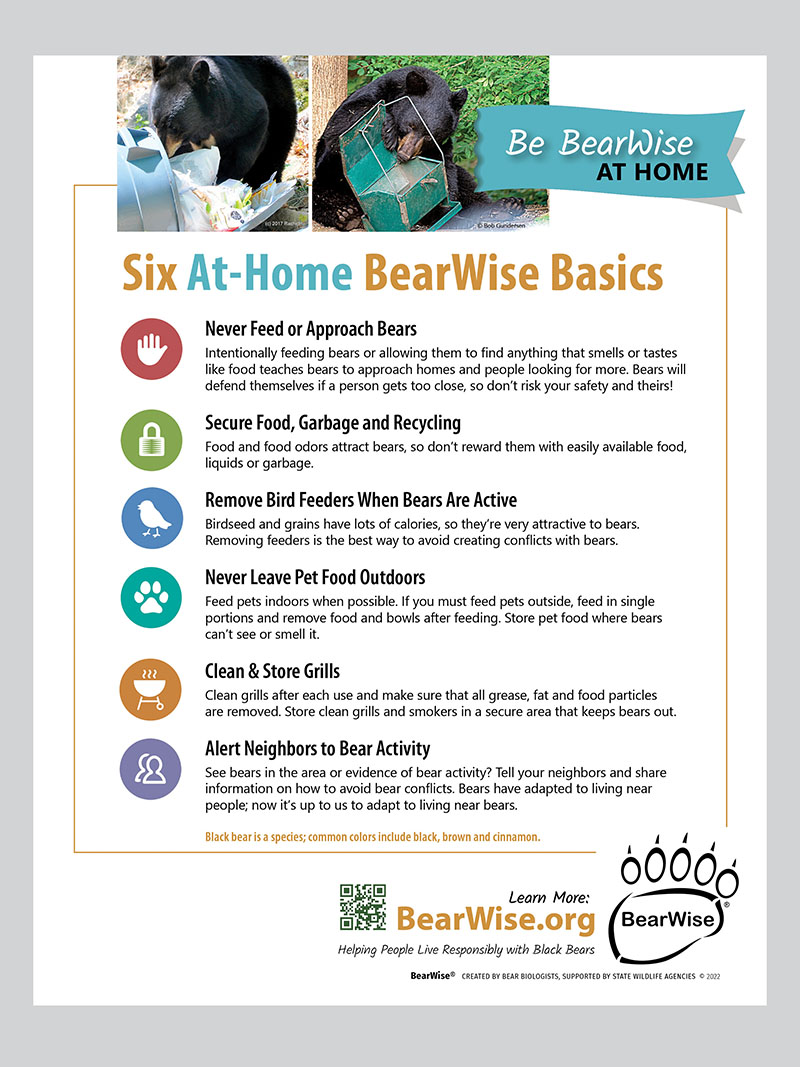 Recommendations you can follow to minimize your attractiveness to bears: