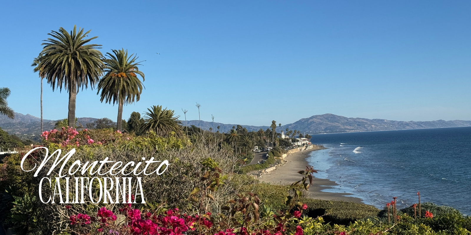 Connect Your Business