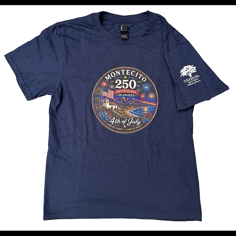 4th of July T-Shirt